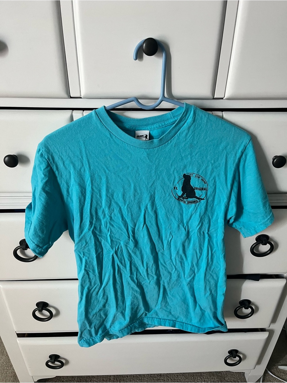 Gildan Short-Sleeve Tee in Aqua Blue with Small Chest Graphic